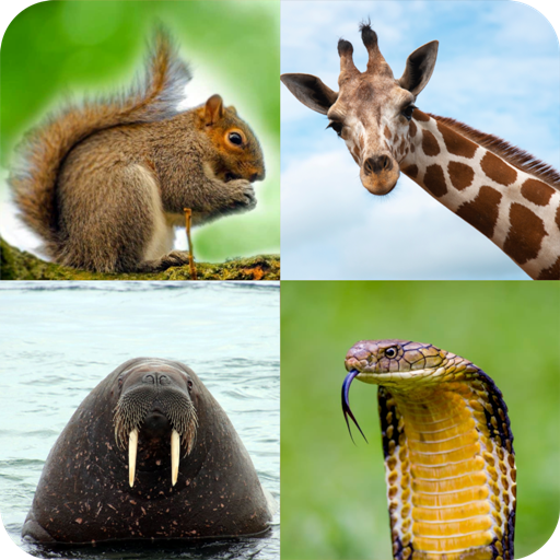 Guess the Animal: Animal Quiz